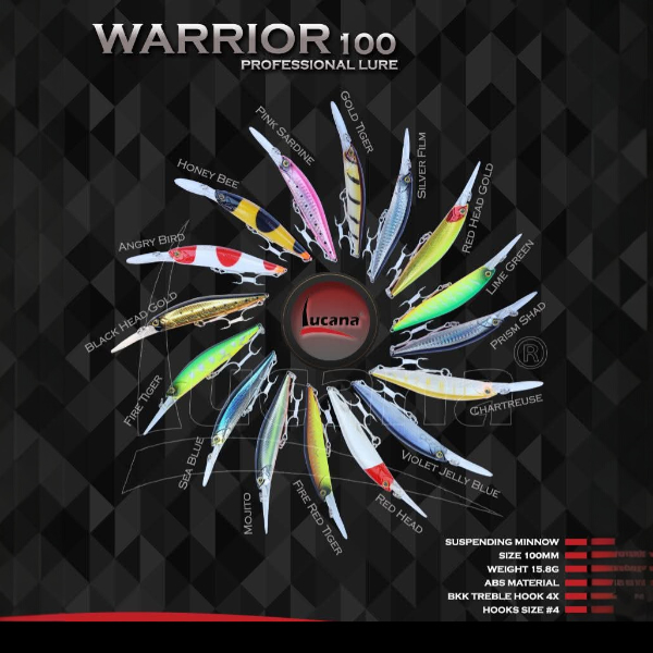 Warrior 100 Minnow Hard Lure